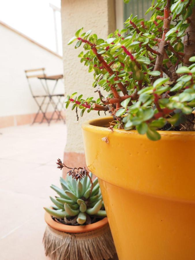 Apartaments La Rambla - Licorella - 4 Persones Cornudella de Montsant Buitenkant foto